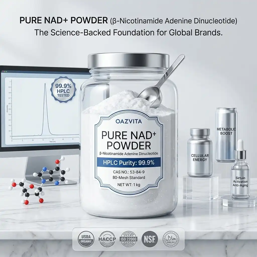 Everything You Need to Know About Pure NAD+ Powder: Benefits and Uses Everything You Need to Know About Pure NAD+ Powder: Benefits and Uses